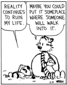 calvin & hobbes 1993 02 19 excerpt