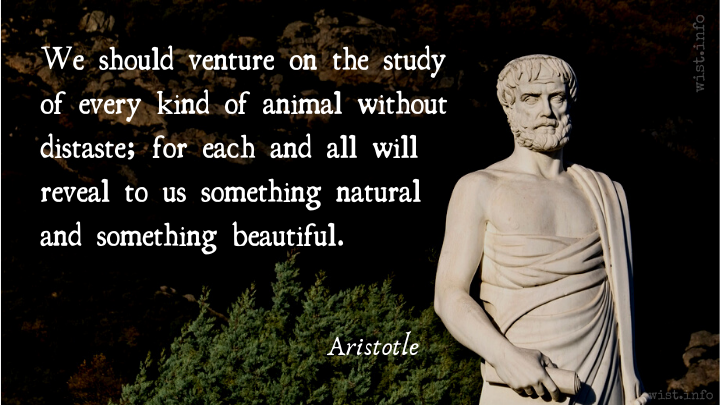 Parts of Animals [De Partibus Animalium], Book 1, part 5 () (c. 350  BC) [tr. Ogle (1912)] - Aristotle | WIST Quotations
