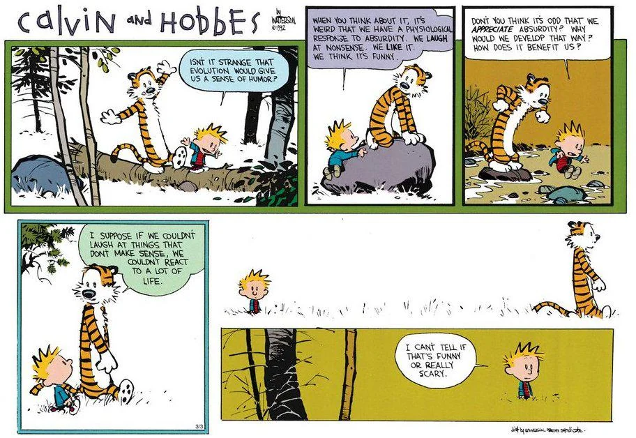 calvin & hobbes 1991-03-03 calvin & hobbes 1991-03-03