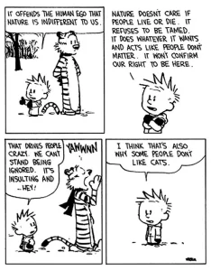 calvin & hobbes 1994-03-04