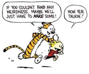 calvin & hobbes 1994-04-17 excerpt